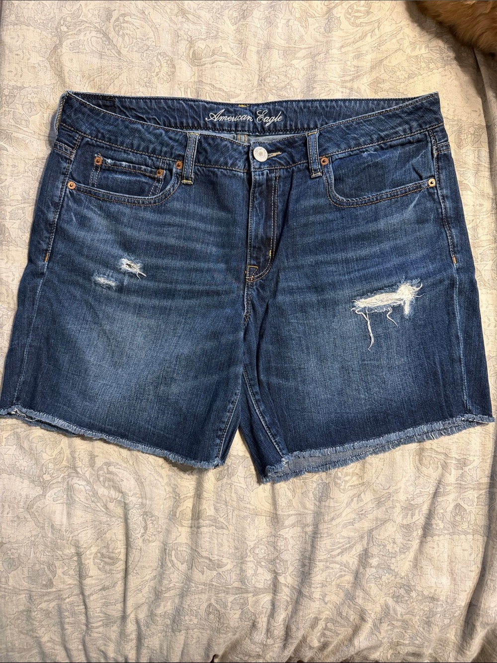 American Eagle Outfitters Medium Wash Distressed Denim Cutoff Shorts